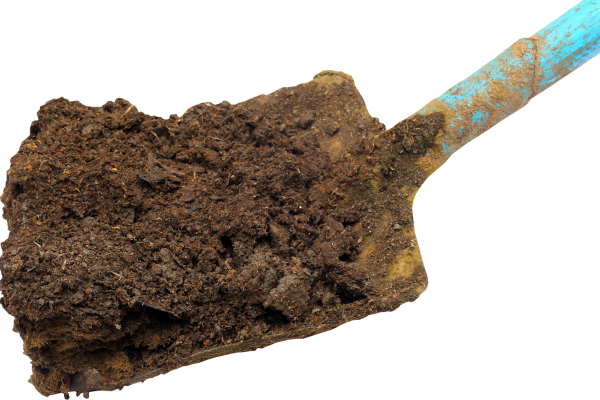 Zápach z latríny- příčiny a jak ho odstranit (bez chemie)